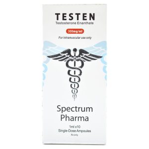 Spectrum Pharma Testen 300mg 10 Ampolas 1ml | Enantato de Testosterona